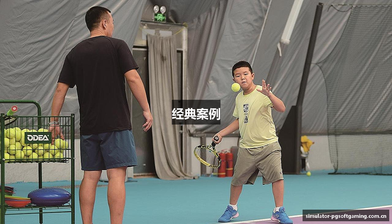 经典案例
